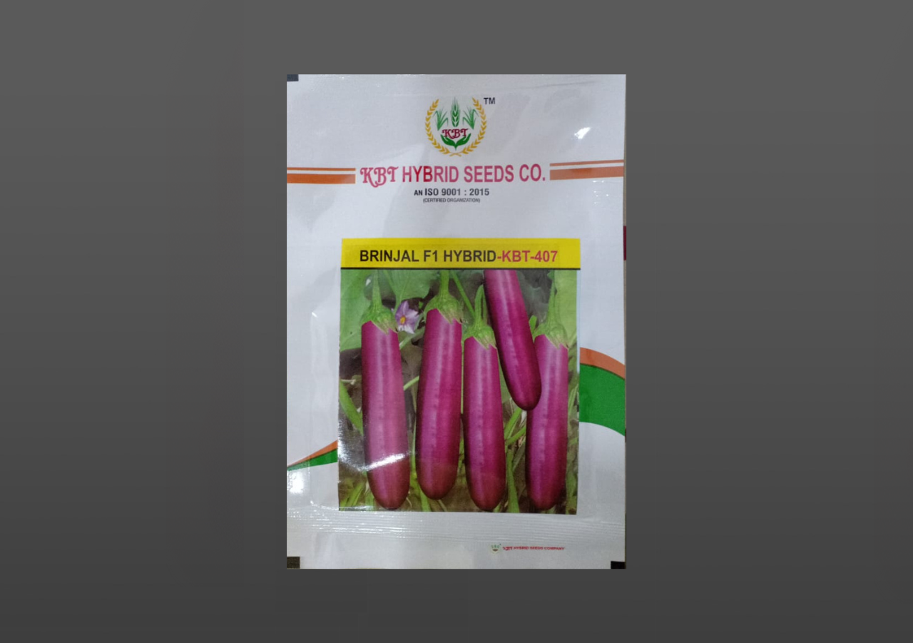 BRINJAL F1 HYBRID-KBT-407 10g